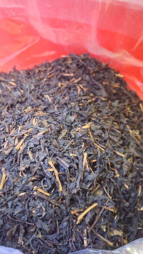 چای سیاه گیلان2