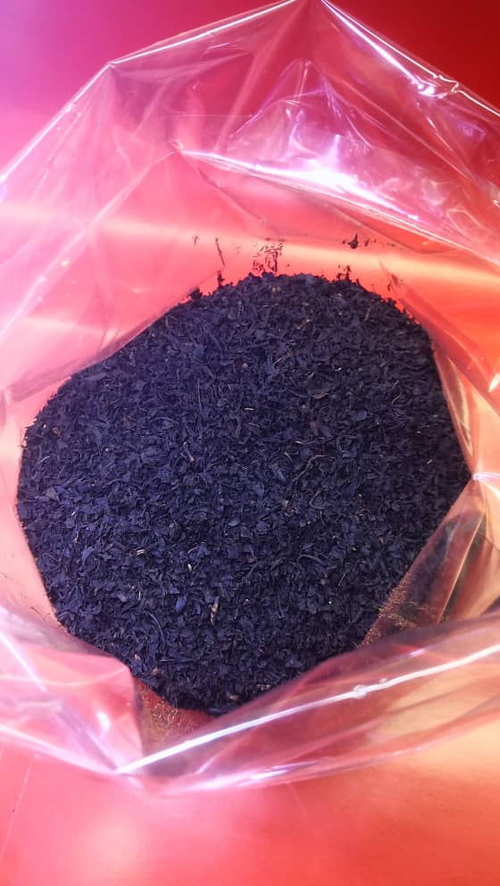 چای ممتاز گیلان1